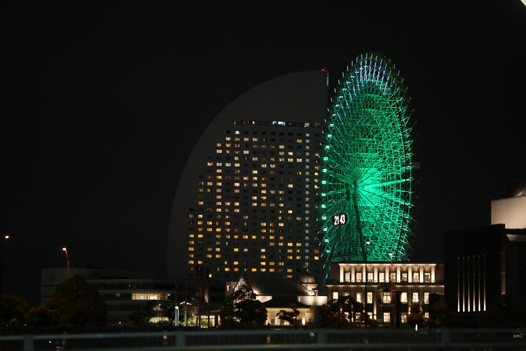 夜の大輪
