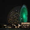 夜の大輪
