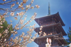 備中国分寺02