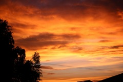 懲りずにまた夕日！