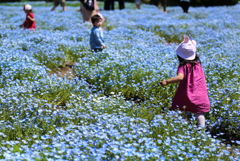 花の中にゴーー