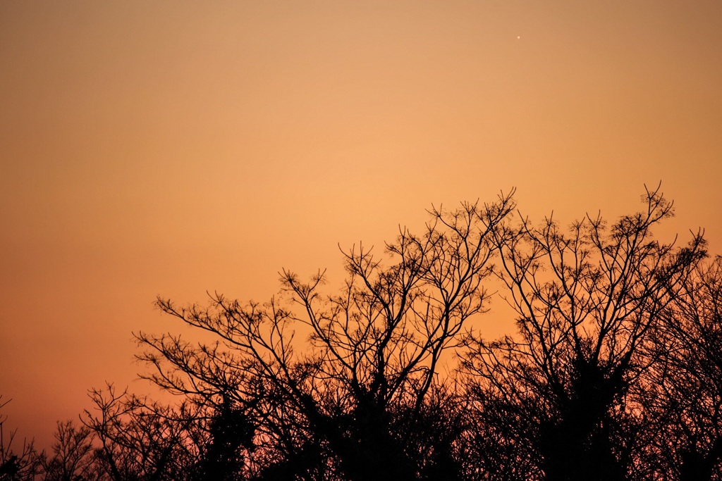 夕暮れに浮かぶシルエット