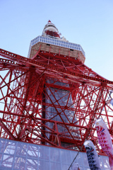 初東京タワー！！