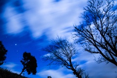 空と木
