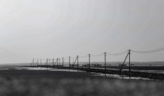 干潮になりました