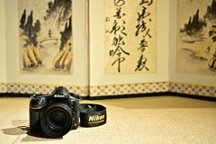 Nikon Z 7で撮ったD850