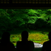 瑠璃光院03