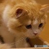 ぼくもあそびたいな*