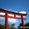 鶴岡八幡宮*