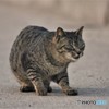 狙いを定めて…*