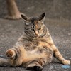 なんだかパンダみたい*