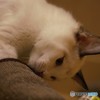 中に何かあるのかな*