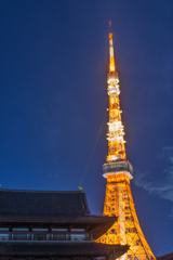 東京タワー&増上寺