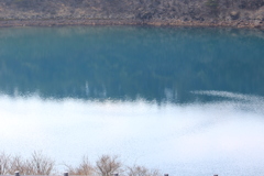 池に写る青のコントラスト