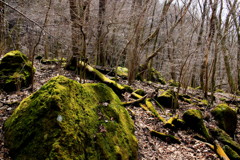 九重連山　「林道」