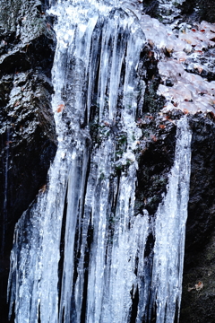 氷柱の滝