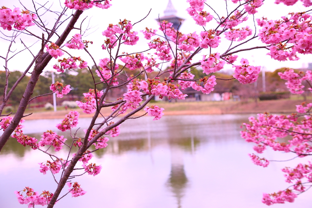 桜といのちの塔
