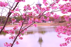 桜といのちの塔