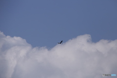 青空