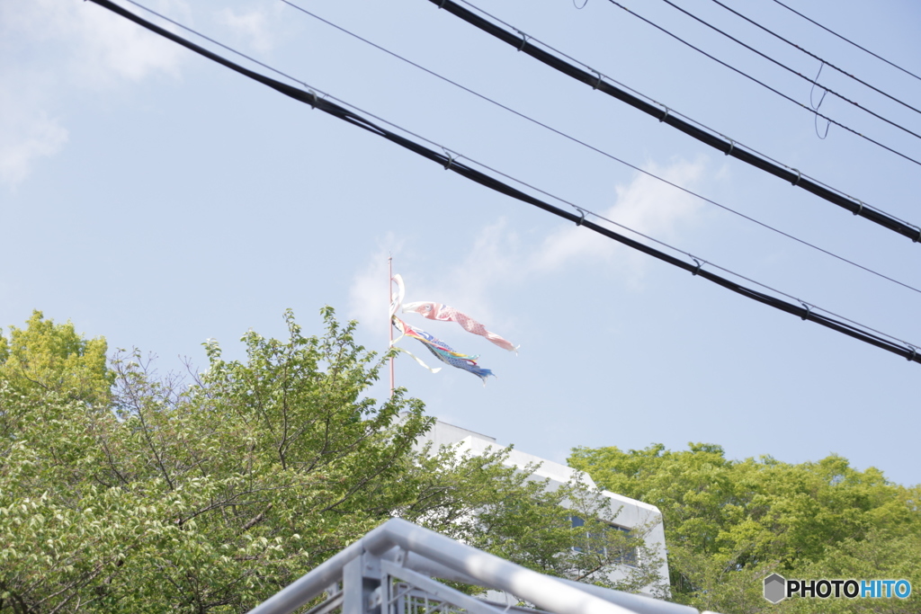 五月の空