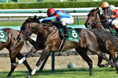 京成杯オータムハンデ　グランシルク