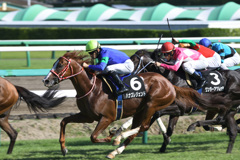 ハナズレジェンド