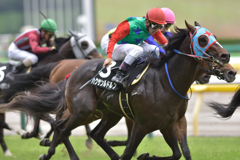 ハクサンルドルフ