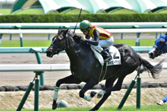 ネイビーアッシュ