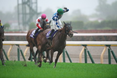 NHKマイルカップ