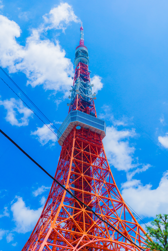 夏