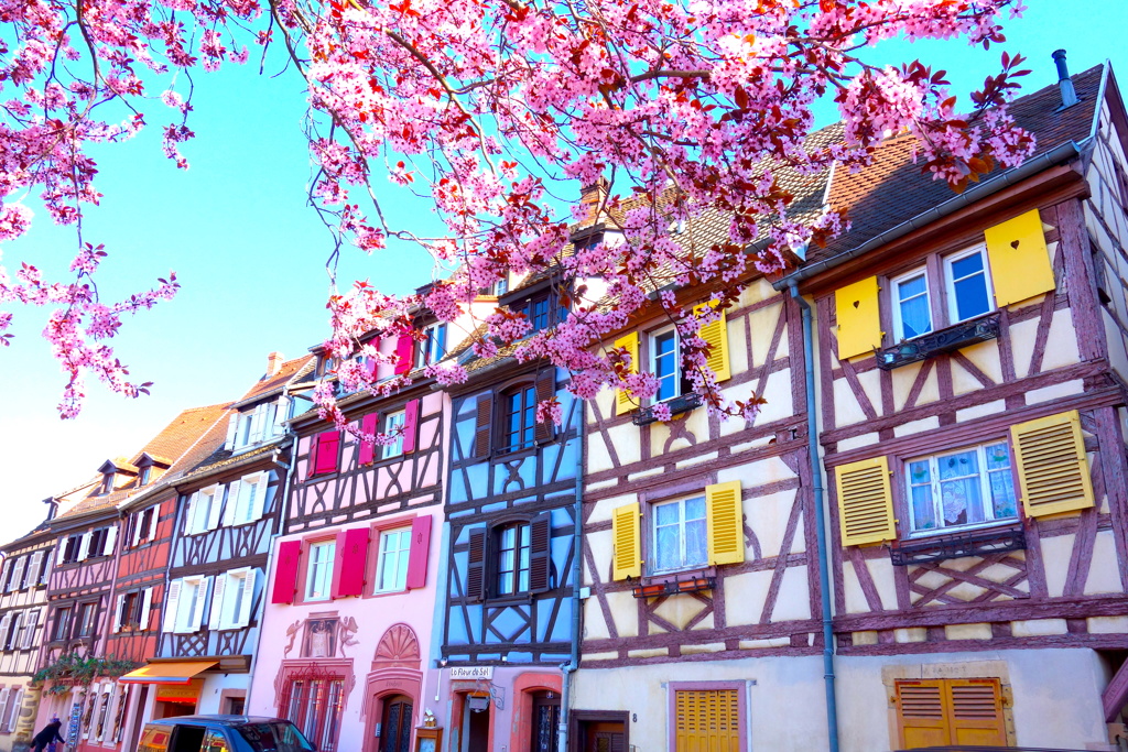 Welcome to the Colmar!