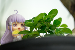 Remo with plants