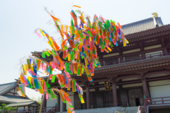 七夕１