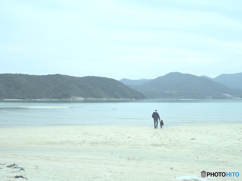 海