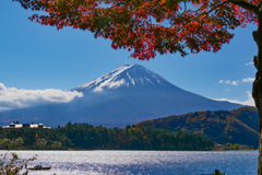 河口湖と富士山と紅葉(2)
