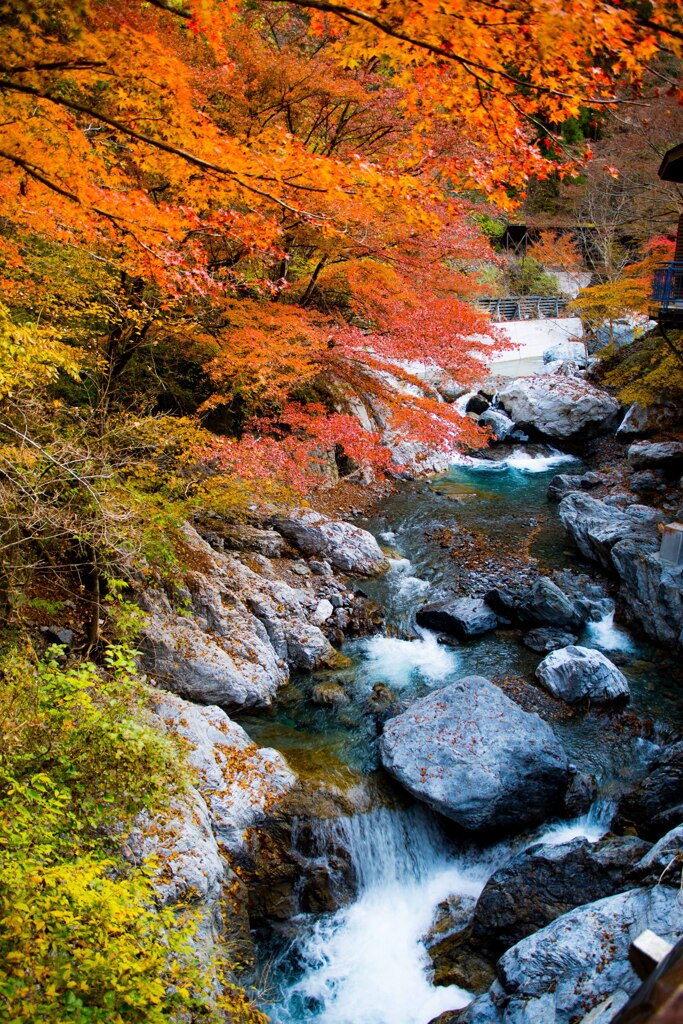 大血川渓谷（秩父市）