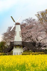 見沼見晴らし公園風車（さいたま市）