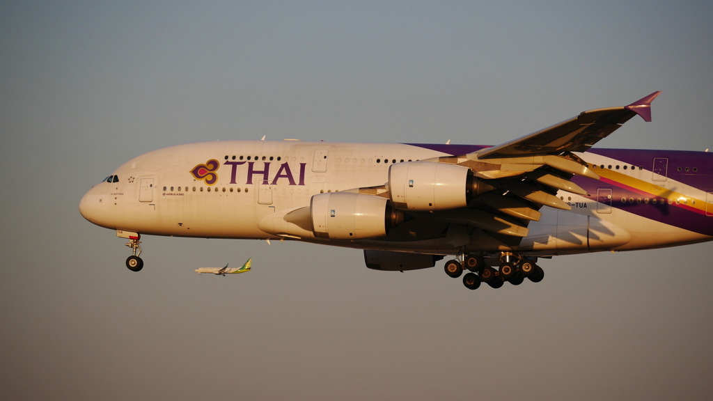 成田空港A380
