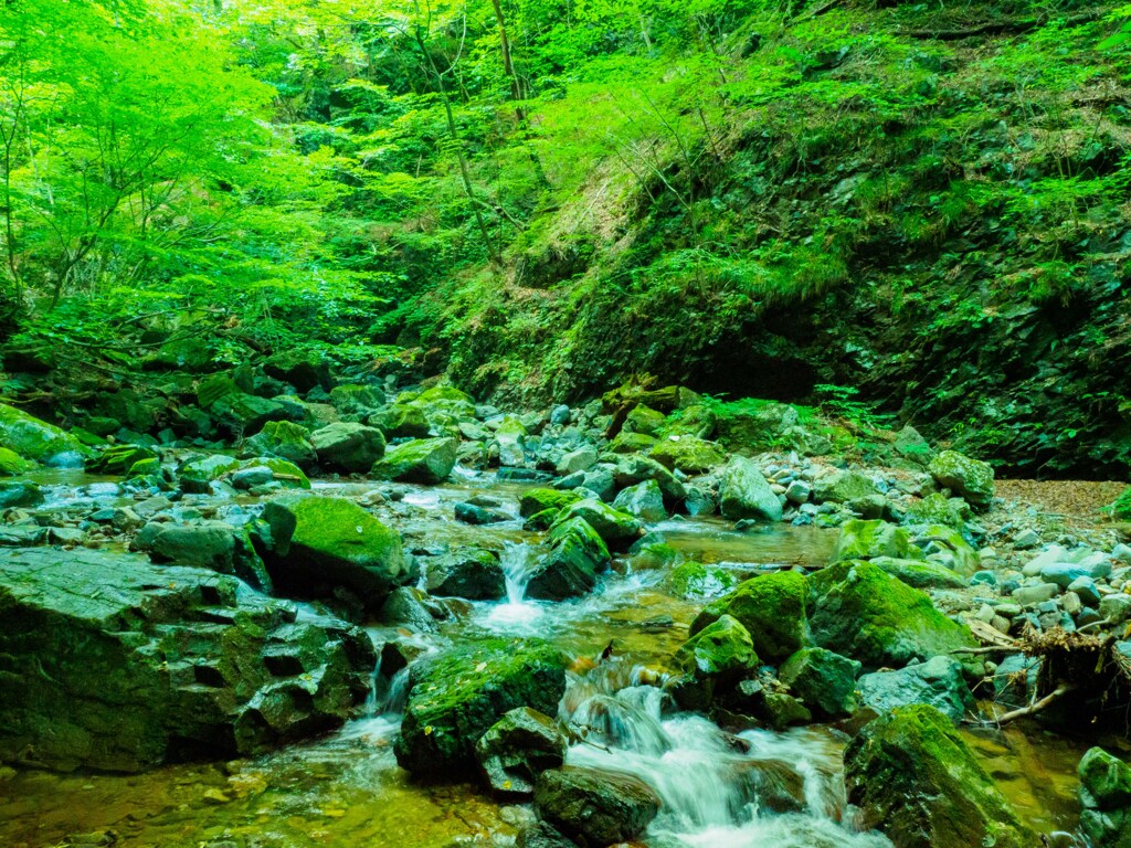 竜化の滝