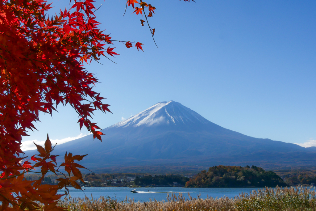 河口湖と富士山と紅葉