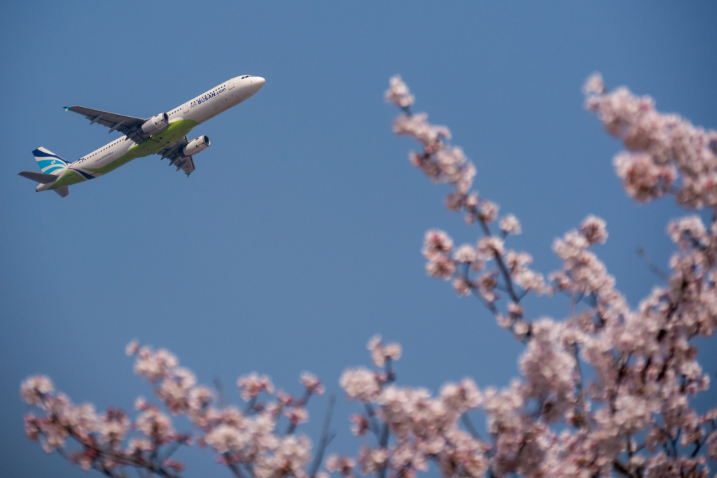 成田空港