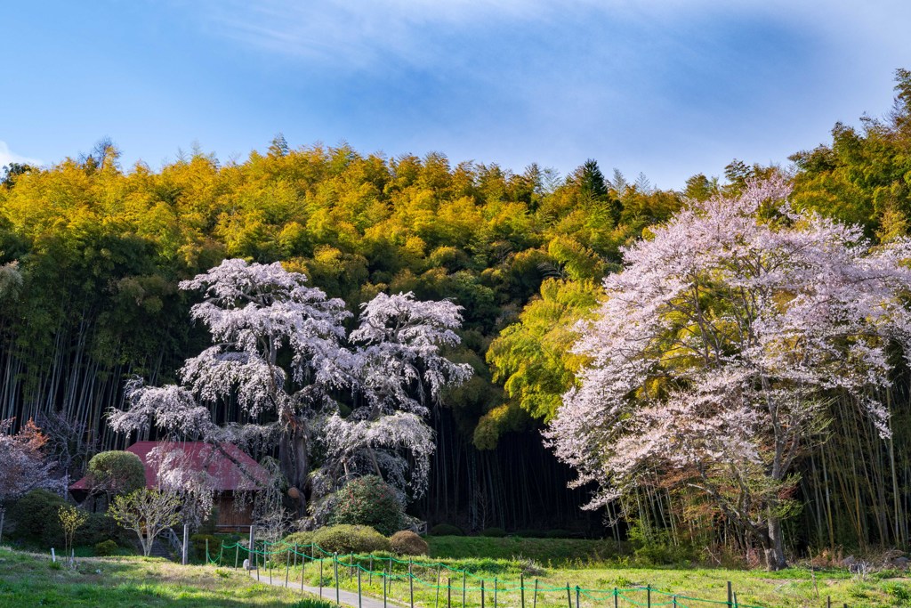 雪村庵（福島県郡山市）