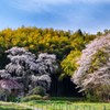 雪村庵（福島県郡山市）