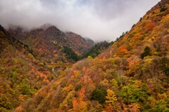 雁坂大橋　紅葉