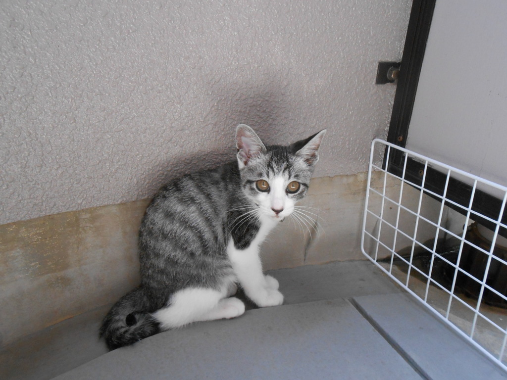 お隣いってもい～い？あかんよ！