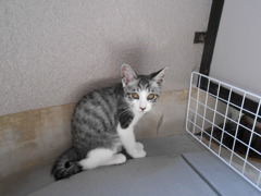 お隣いってもい～い？あかんよ！