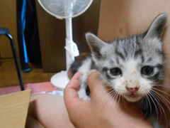 ソラに初めて出会った日