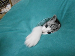 なんでも遊び道具にかえる天才