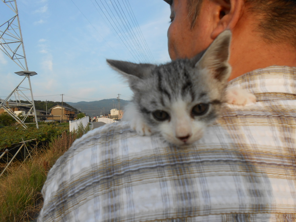 初めてのお散歩