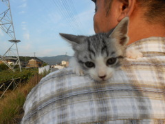 初めてのお散歩